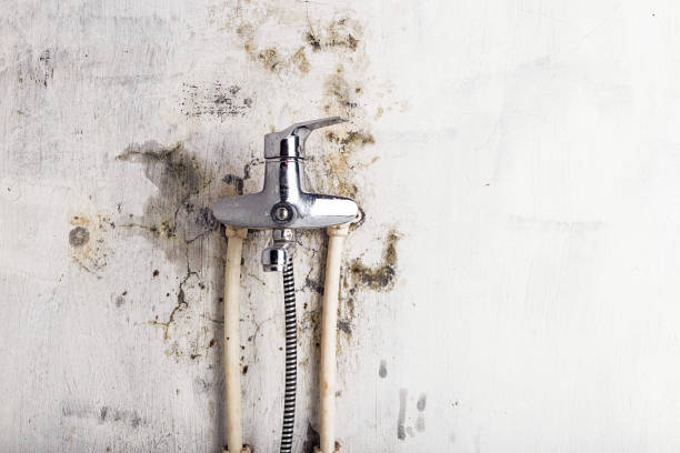 Best Residential Mold Removal  in Cranston, RI
