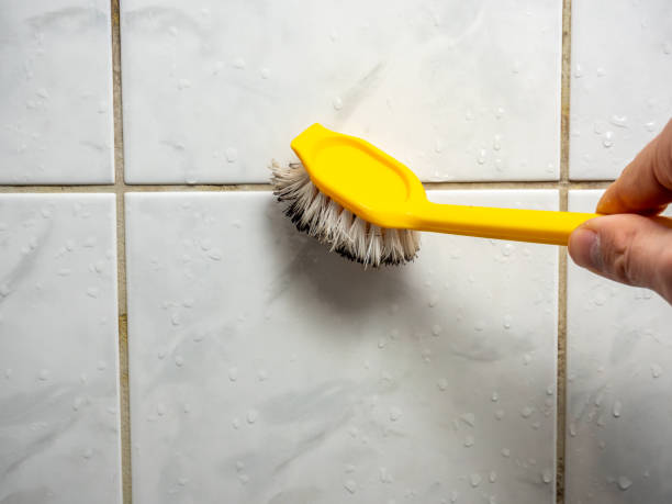 Best Water Damage Restoration  in Cranston, RI