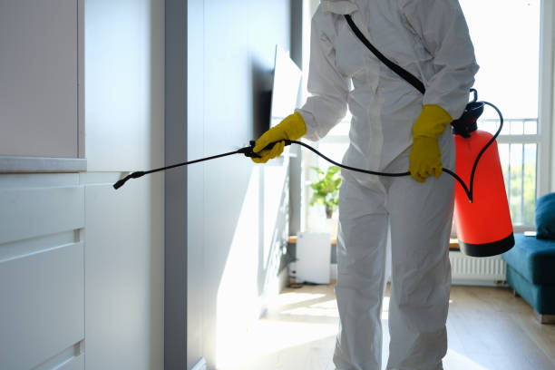  Cranston, RI Mold Removal Pros