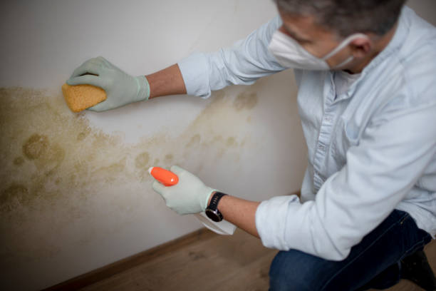 Best Water Damage Restoration  in Cranston, RI