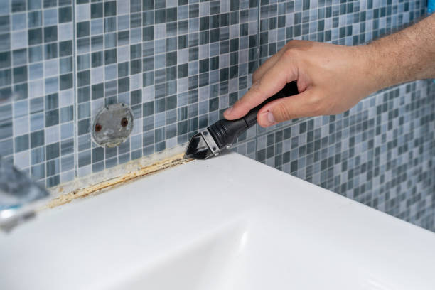 Best Certified Mold Removal  in Cranston, RI