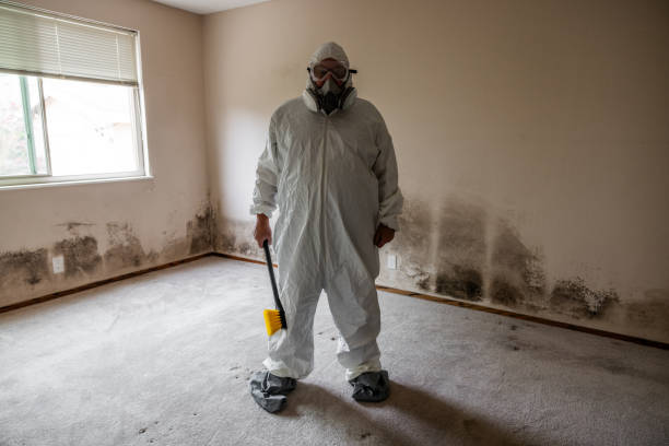 Best Emergency Mold Removal  in Cranston, RI